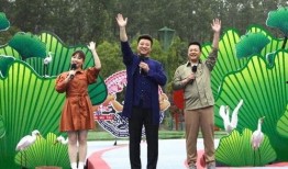 西安飞翔最新爆料消息视频,揭秘视频背后的惊人内幕