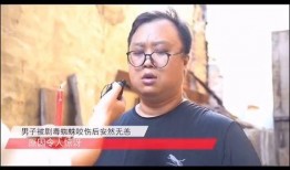 纯属娱乐爆料是真的吗,真相揭秘，是真是假？